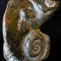 Caméléon en Pierre ( serpentine ) ( 32cm x 33cm )