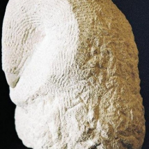 Tête Chouette (pierre calcaire)