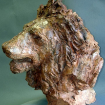 Petite Tête de Lion ( 24cm x 27cm )